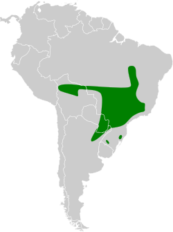 Distribución geográfica del tachurí coludo.