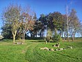 Aire arborée à la sortie Est du village