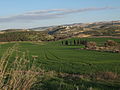 The Valley of Elah, near Adullam