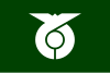 Flag of Nichinan