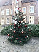 Haus Welbergen Weihnachtsbaum