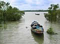 ১৮:৩৯, ৫ জুন ২০১২-এর সংস্করণের সংক্ষেপচিত্র