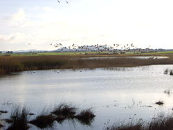 The salt walter lagoon of Pétrola.