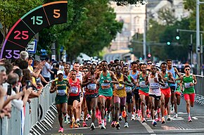 Description de l'image Men's marathon Budapest 2023.jpg.