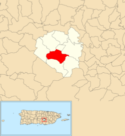 Location of Pasto within the municipality of Aibonito shown in red