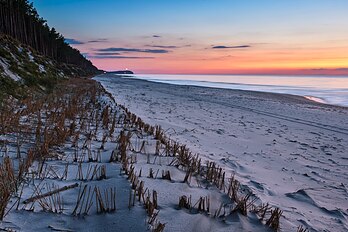 Praia de Pogorzelica, parte da área especial de proteção de habitat Trzebiatowsko-Kołobrzeski Pas Nadmorski no noroeste da Polônia, no mar Báltico, com uma área de 174,69 km², inteiramente na voivodia da Pomerânia Ocidental, na Costa de Estetino. Foi criada em 2008 pela Comissão Europeia como uma área de importância comunitária. Dezessete habitats naturais foram identificados, incluindo: salinas costeiras pantanosas, dunas costeiras brancas e cinzentas, vegetação ripária, bosques de salgueiros ribeirinhos, carvalhos subatlânticos, estuários rasos. (definição 4 997 × 3 328)