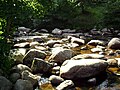 Dartmeet