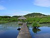 Salines de Montjoly