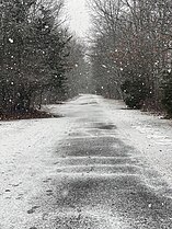 A beautiful snowy path through Bare Cove