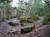 Folly in Sydenham Hill Wood