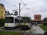 Trams in De Haan station