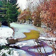 Winter in Parc du Héron