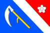 Flag of Čechtín