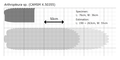 Estimation of the new, largest specimen