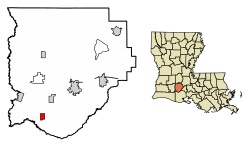 Location of Morse in Acadia Parish, Louisiana.