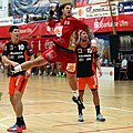 Avec Veszprém en 2014.