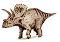 Arrhinoceratops