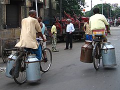 Milk churns being carried on bicycles, Kolkata, India, 2007