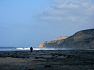 Black's Beach access from the North (Torrey Pines Beach)