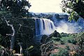 The Waterfalls of the Blue Nile