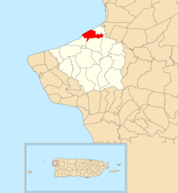Location of Carrizal within the municipality of Aguada shown in red