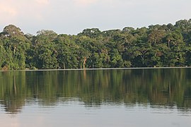 Parque Nacional Madidi