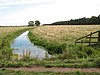 Damgate Marshes