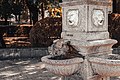 Drinking Cat, Virpazar, Montenegro