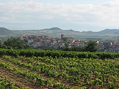 View of Entrena. At foreground its vineyards