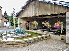 Fontaine-lavoir-abreuvoir au lion.