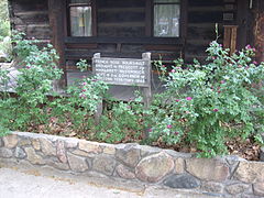 Descendants of Margaret McCormick's roses