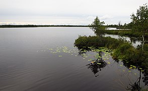 Parc naturel de Koigi.