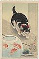 猫と金魚 (1931年)