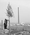 Topping out in Norway (1959)