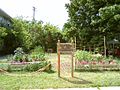 Community Garden