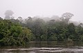 Image 34The Coppename river, one of many rivers in the interior (from Suriname)