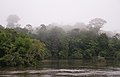 Image 42The Coppename river, one of many rivers in the interior (from Suriname)