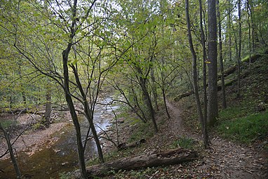 Muddy Branch Stream and the Muddy Branch Greenway Trail