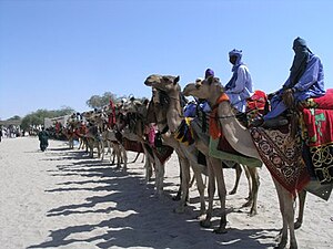 Camel riders line up outside the residence of the traditional chief of Nguigmi
