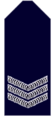 New South Wales Police Force