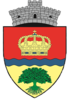 Coat of arms of 1 Decembrie