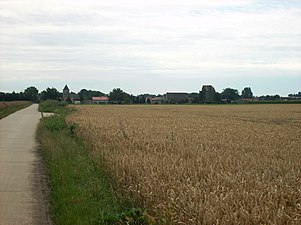 Trees break the horizon of a predominantly flat landscape.