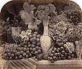 "פירות ופרחים," אחד מסדרת תצלומי טבע דומם שצילם פנטון בשנת 1860, זמן קצר לפני שנטש את הצילום