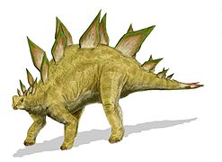Stegosaurus (Ornithischia)