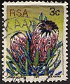 3rd Definitive Issue 3c Protea neriifolia