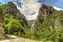 Tran Gorge near the border with Serbia