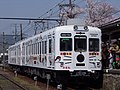 Tama densha