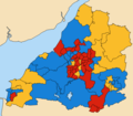 Avon local election 1993