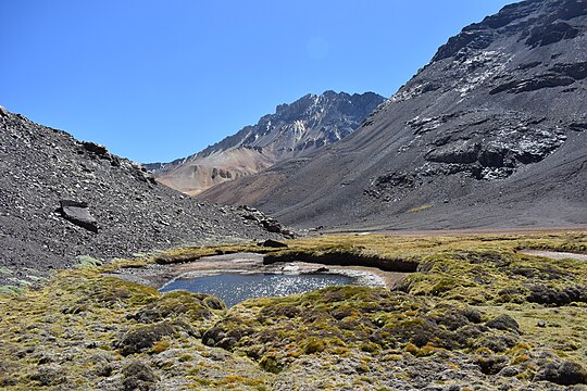 Bofedal-like landscape in Central Chile