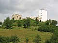 Le château de Gonobitz en 2004